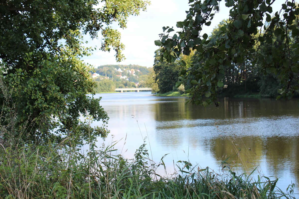 In der Ferne ist die Naabrücke von Schwandorf schon zu erkennen.